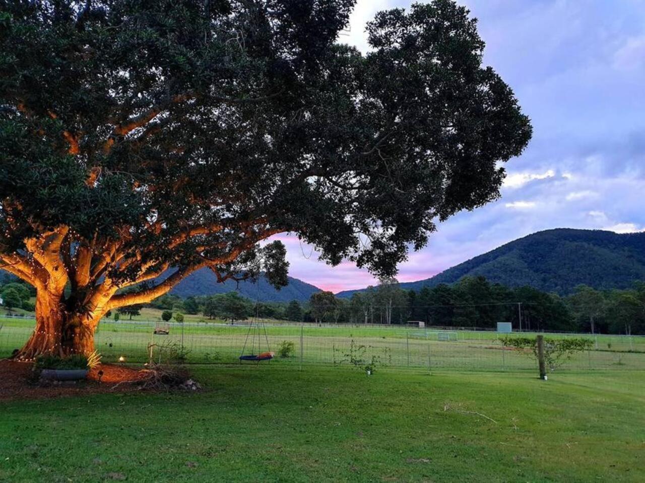Fig Tree Farm B&B Highvale-Farmstay Near Brisbane! Luaran gambar