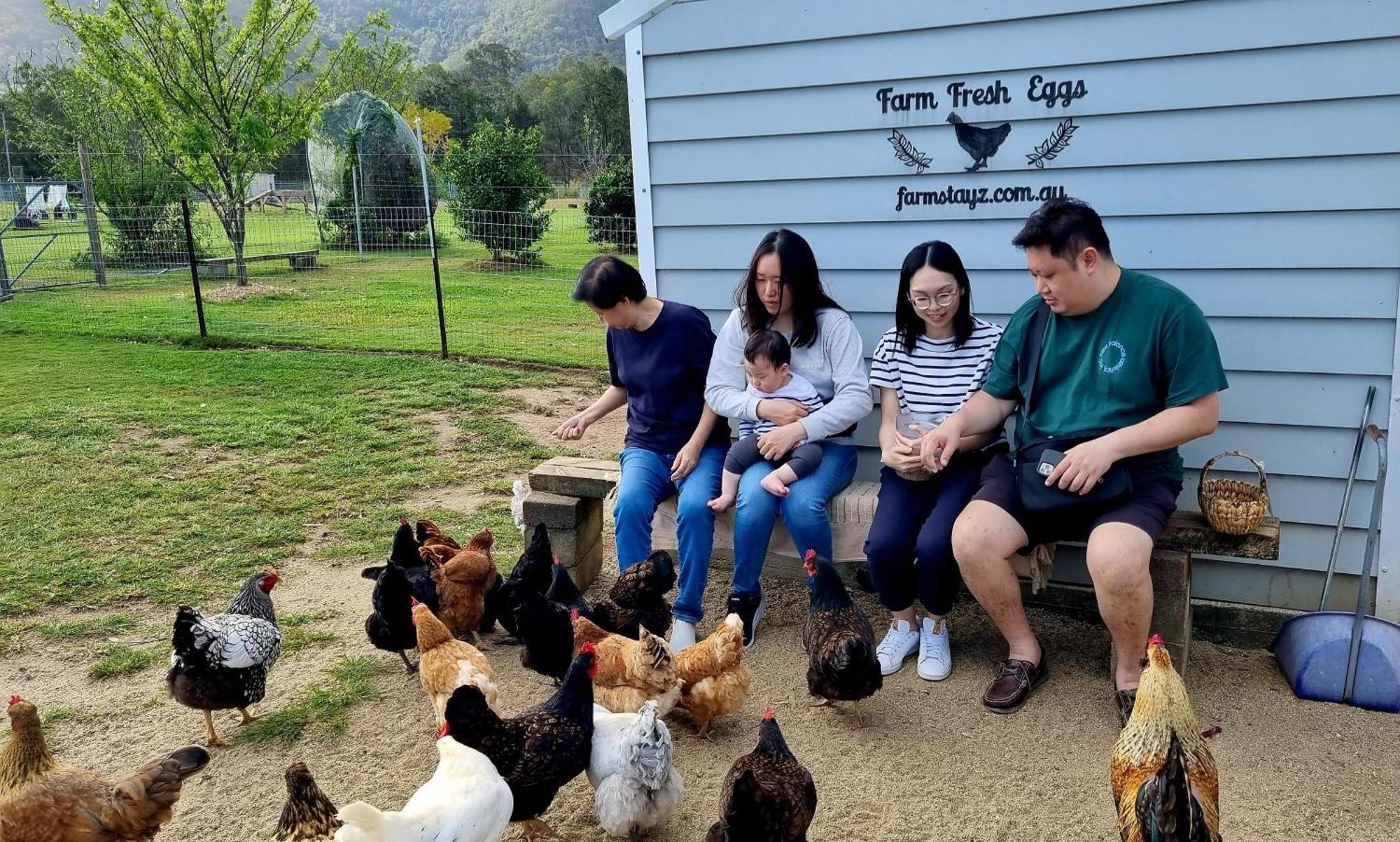 Fig Tree Farm B&B Highvale-Farmstay Near Brisbane! Luaran gambar